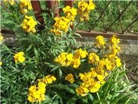 16b649e1-Picture 008.jpg